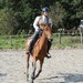 journée du cheval029