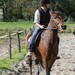 journée du cheval031
