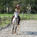 journée du cheval034