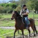 journée du cheval035