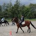 journée du cheval043