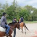 journée du cheval044