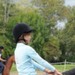 journée du cheval046
