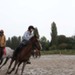 journée du cheval053