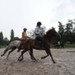 journée du cheval054
