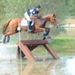 Mett_3991