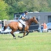 Mett_3999
