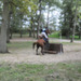 10082011-CCE Sandillon-005