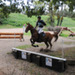 10082011-CCE Sandillon-010