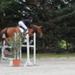 10082011-CCE Sandillon-022