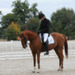 10082011-CCE Sandillon-028