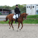 10082011-CCE Sandillon-030