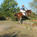 10082011-CCE fontenay-006