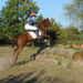 10082011-CCE fontenay-007