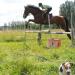 seance obstacle2012062512