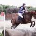 Lamotte 2012_Agathe et Oublon de Brunel_16