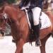Lamotte 2012_Agathe et Oublon de Brunel_21
