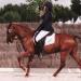 Lamotte 2012_Agathe et Oublon de Brunel_27