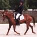 Lamotte 2012_Agathe et Oublon de Brunel_29