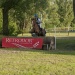 130601fontenay - 1931