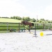 130526- Borehal - 1425