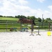 130526- Borehal - 1432 (1)