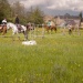 edp_seance_obstacle_090513_0011