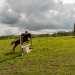 edp_seance_obstacle_090513_0024