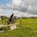 edp_seance_obstacle_090513_0025