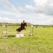 edp_seance_obstacle_090513_0028