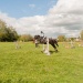 edp_seance_obstacle_090513_0030