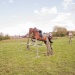 edp_seance_obstacle_090513_0061
