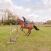 edp_seance_obstacle_090513_0079