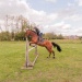 edp_seance_obstacle_090513_0080