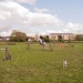 edp_seance_obstacle_090513_0081