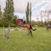 edp_seance_obstacle_090513_0100