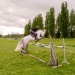 edp_seance_obstacle_090513_0106