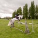 edp_seance_obstacle090513006