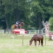 _Jardy_140628_0032