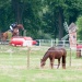 _Jardy_140628_0031