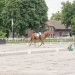 _Jardy_140628_0023
