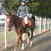 ecuriesduperche01_040.jpg