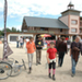 lamotte 2008