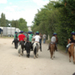 lamotte 2008