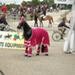Lamotte 2008