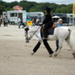Lamotte 2008