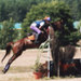 oublon de brunel et agathe - lamotte 08