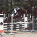oublon de brunel et agathe - lamotte 08