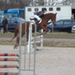 longvilliers_20090118_006b.jpg