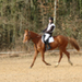 longvilliers_20090118_0042.JPG